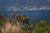 21 Scorcio sul lago